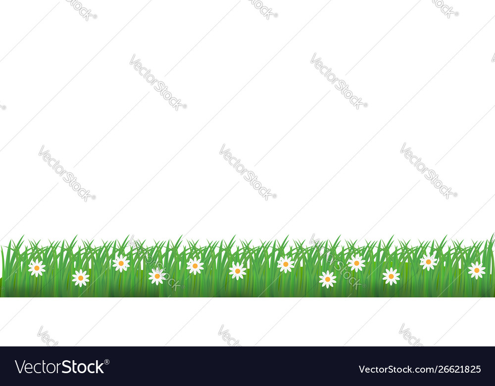 Spring grass and flowers border Royalty Free Vector Image