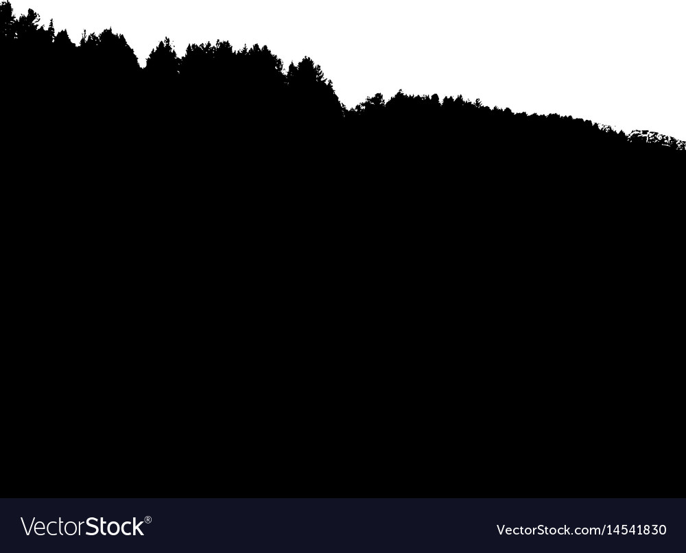 Black forest silhouette isolated on white Vector Image