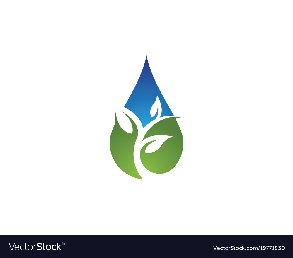 Water drop logo template Royalty Free Vector Image