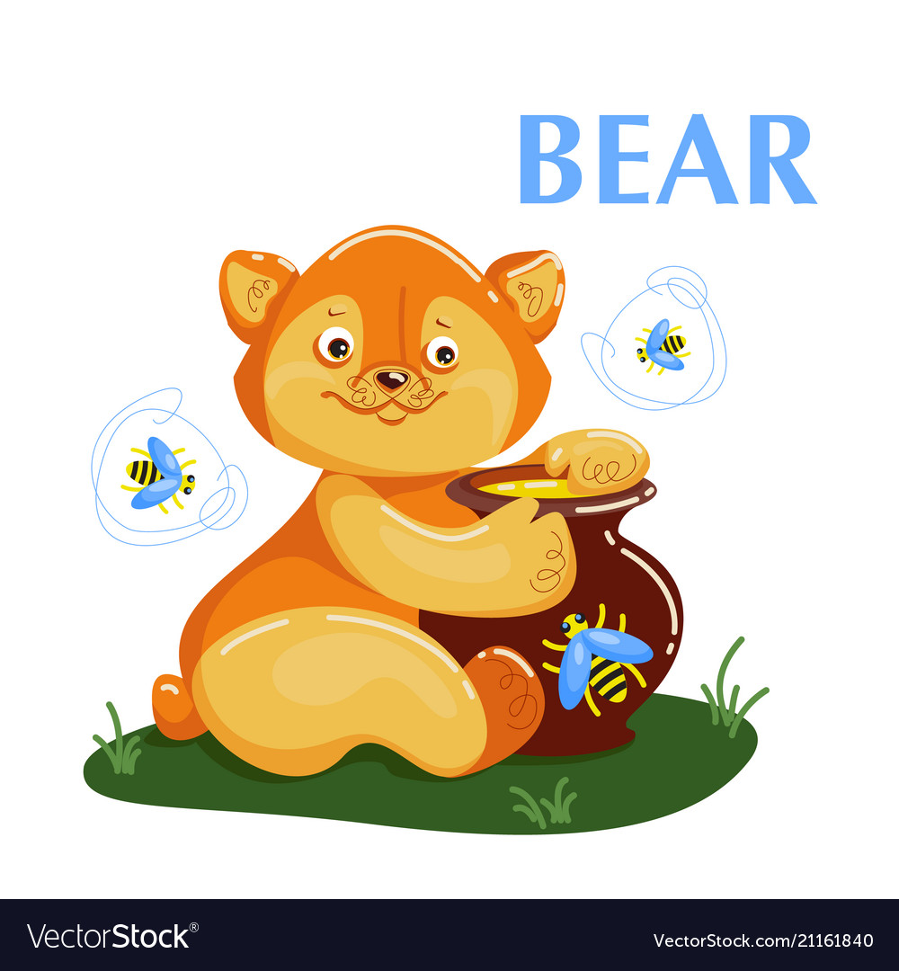 Educational flashcard bear eating the honey Vector Image