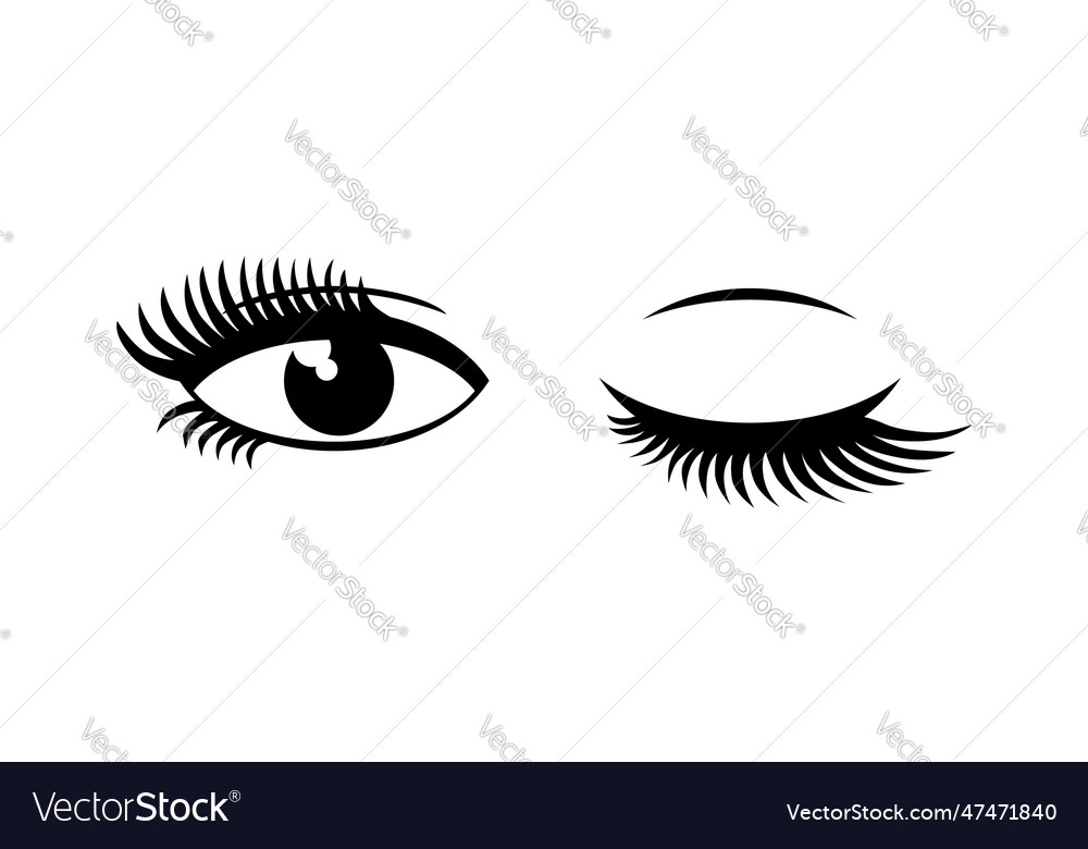 Open eye and closed Royalty Free Vector Image - VectorStock