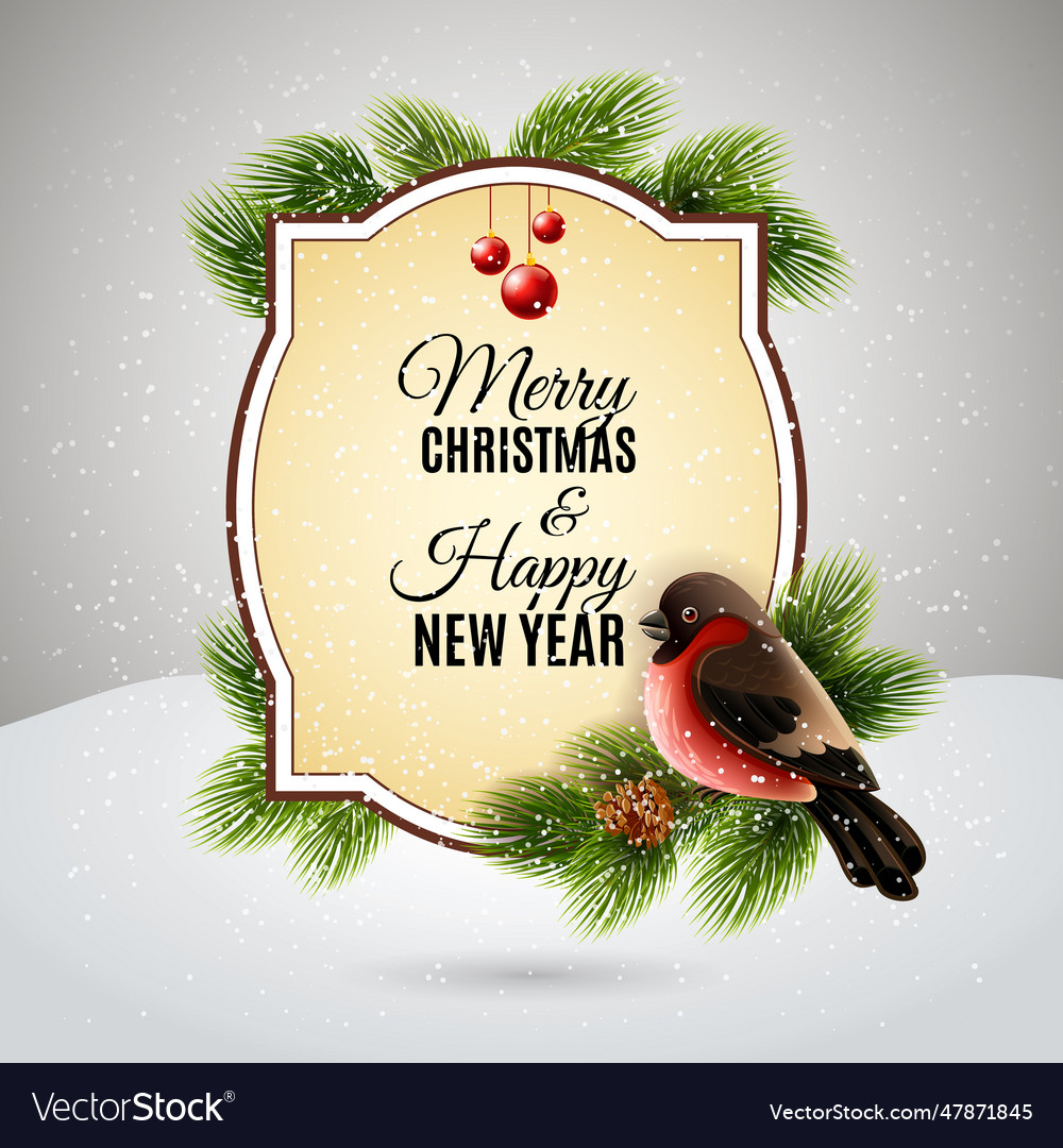 Christmas greetings card with robin bullfinch Vector Image