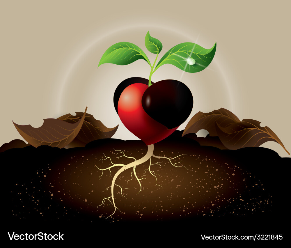 Heart tree Royalty Free Vector Image - VectorStock