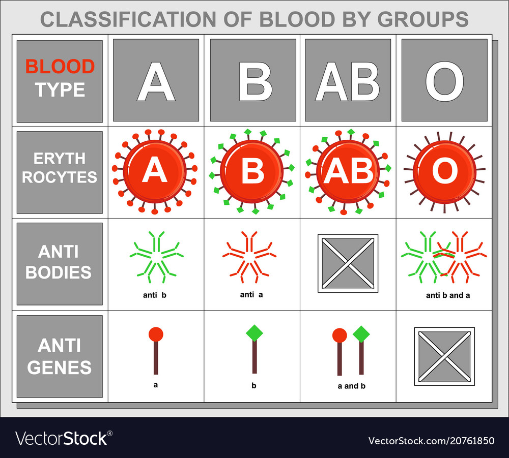 Background table about hematology blood type Vector Image