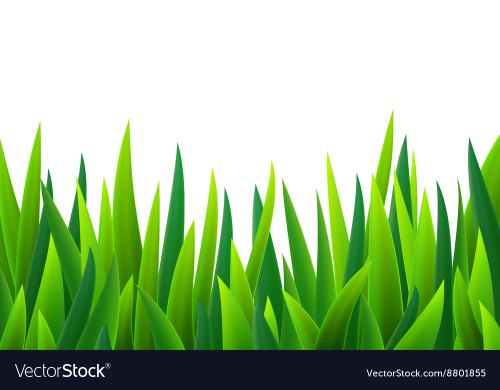 Green Grass Royalty Free Vector Image Vectorstock 9107