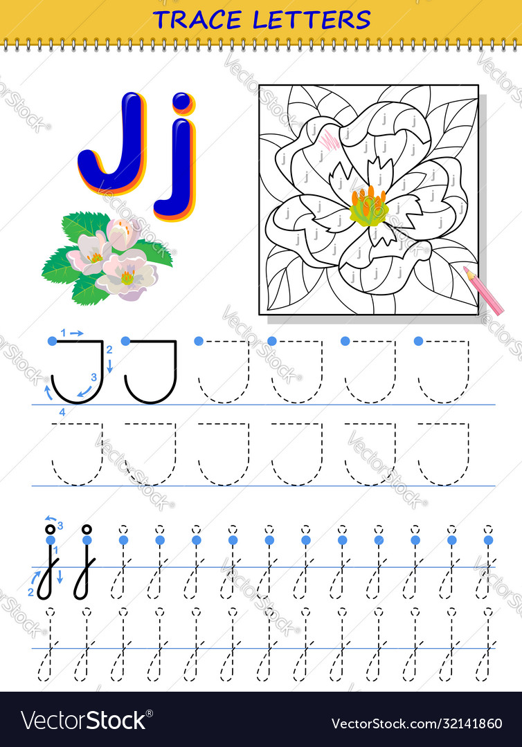 tracing letter j for study alphabet printable vector image