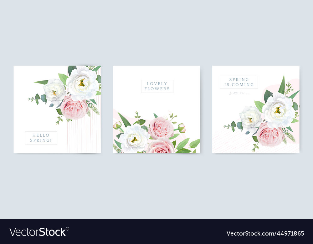 Spring floral card set watercolor cards template Vector Image