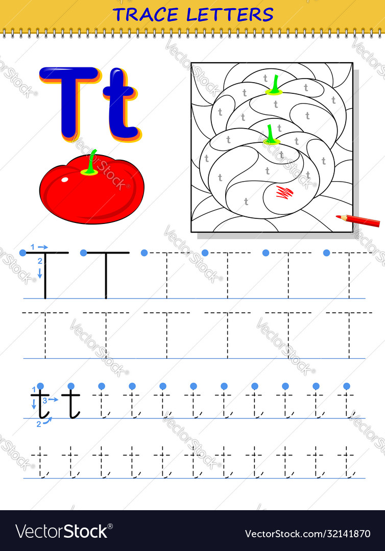 tracing letter t for study alphabet printable vector image