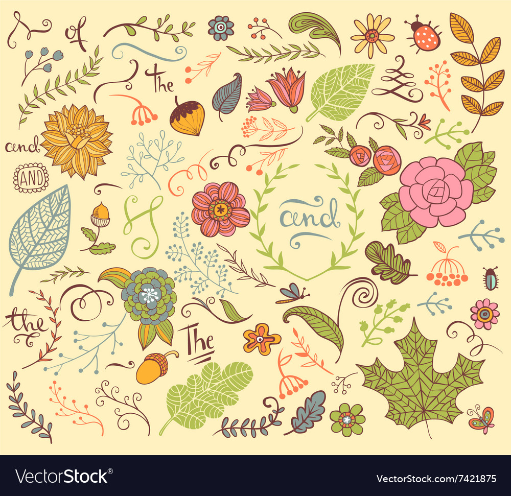 Floral design elements in doodle style Royalty Free Vector