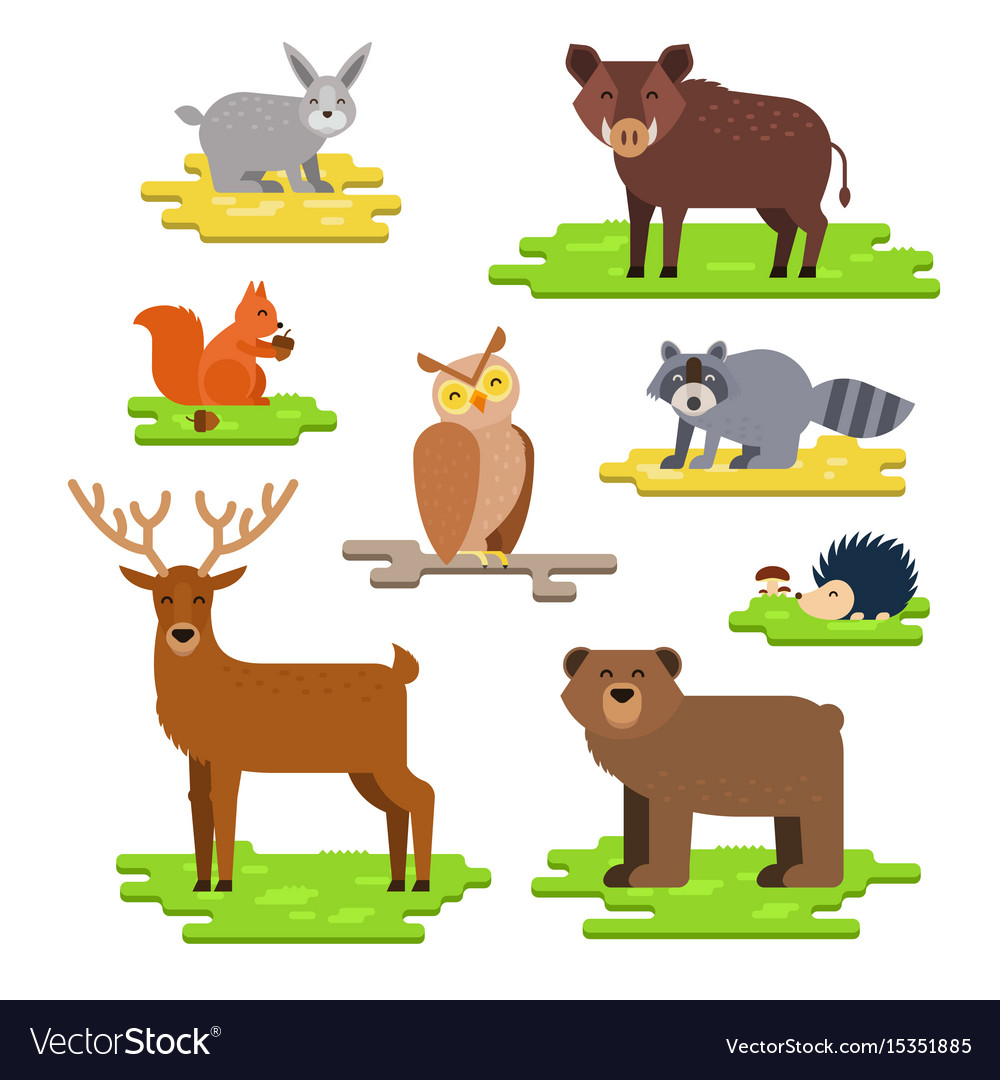 Forest Animals Set Flat Royalty Free Vector Image