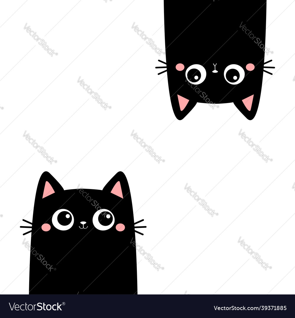 Two black kitten face head hanging upside down Vector Image