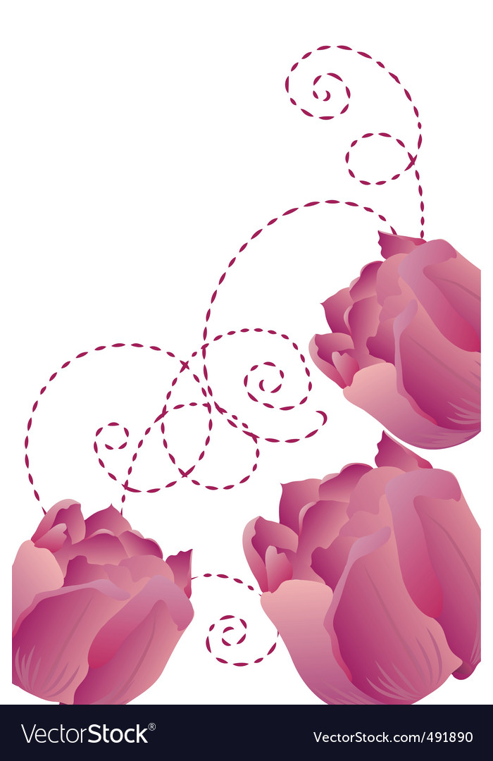 Purple tulips Royalty Free Vector Image - VectorStock