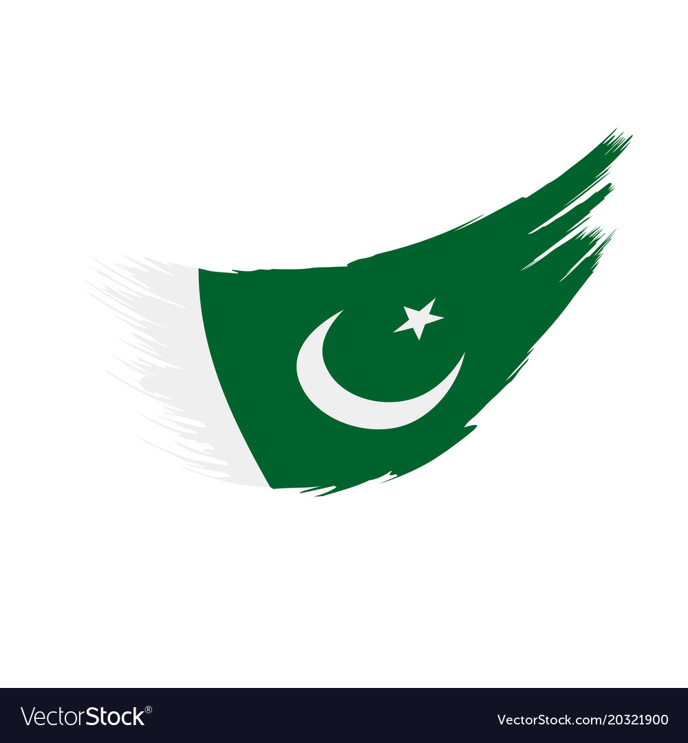 Pakistan flag Royalty Free Vector Image - VectorStock