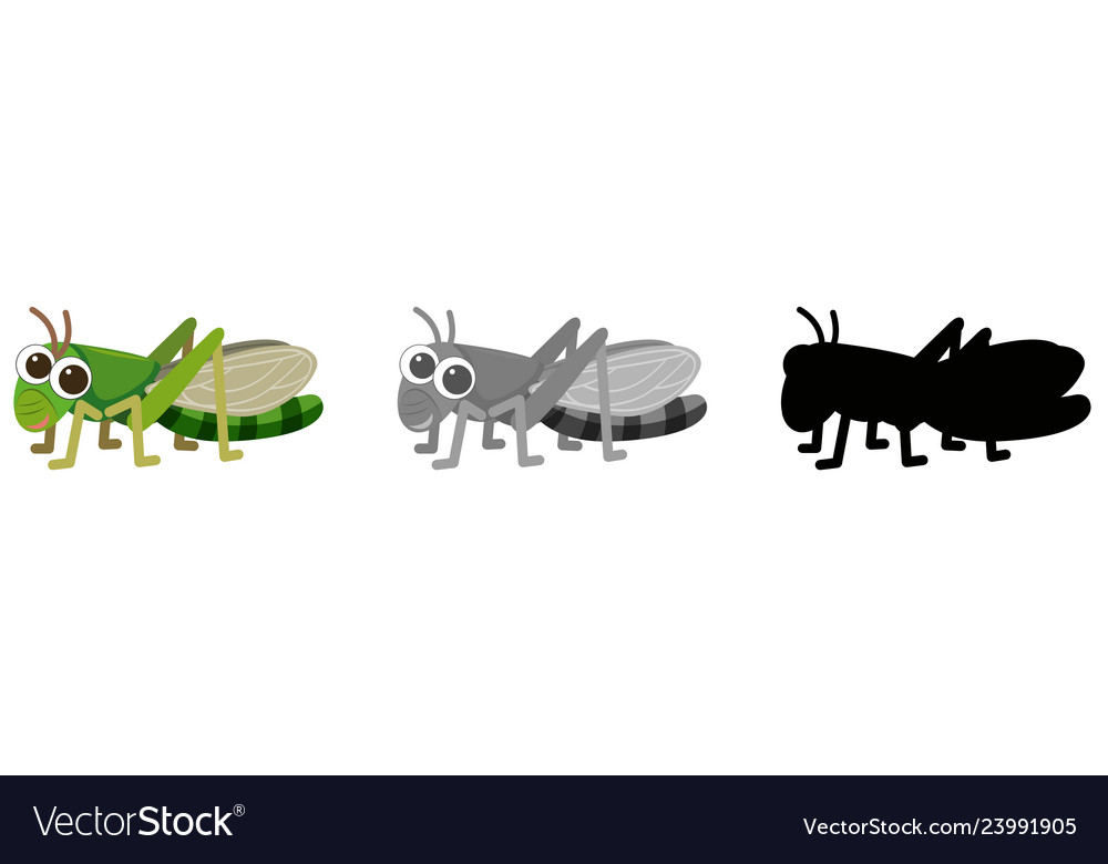 Set Glass Hopper Character Royalty Free Vector Image