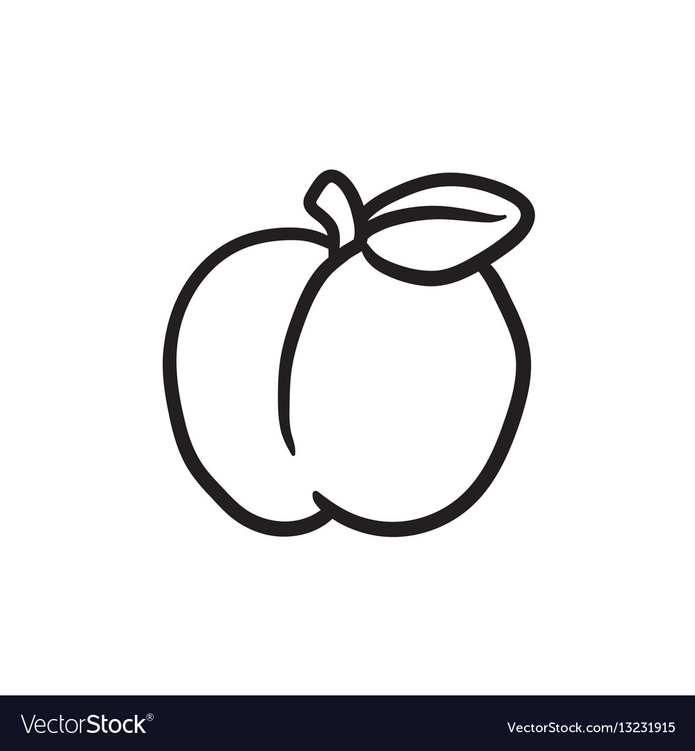 Apple sketch icon