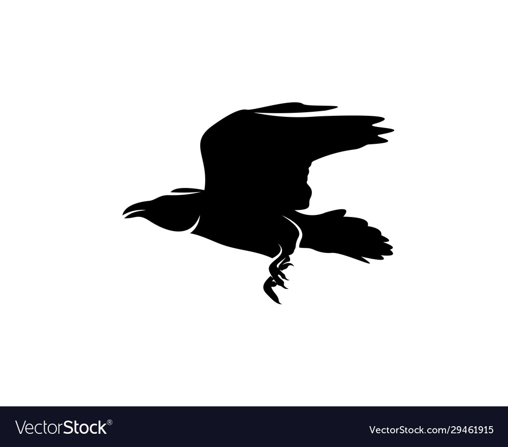 Raven bird logo template black silhouette Vector Image