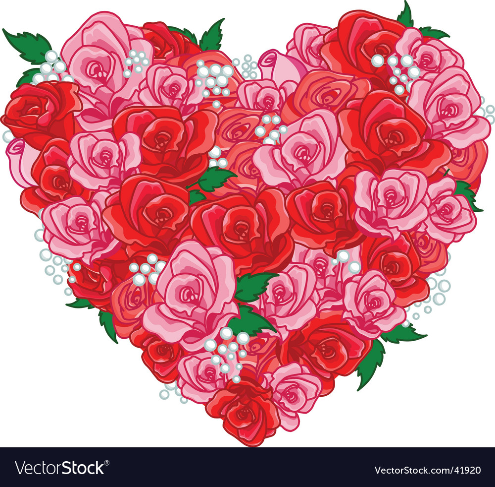 Roses Royalty Free Vector Image - VectorStock