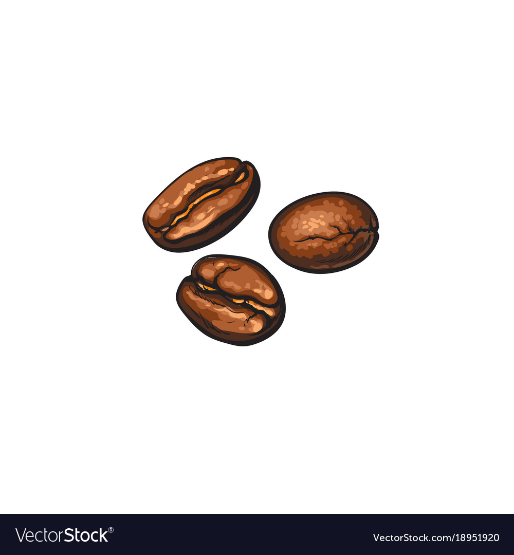 Three hand-drawn roasted coffee beans Royalty Free Vector