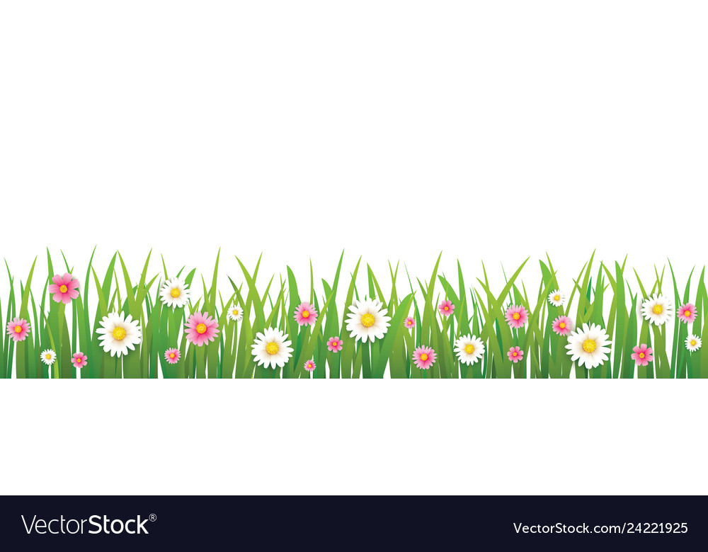 Hello spring flower with grass isolated background