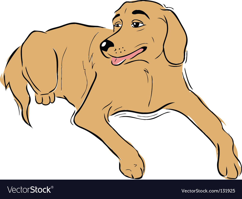 Labrador dog resting Royalty Free Vector Image