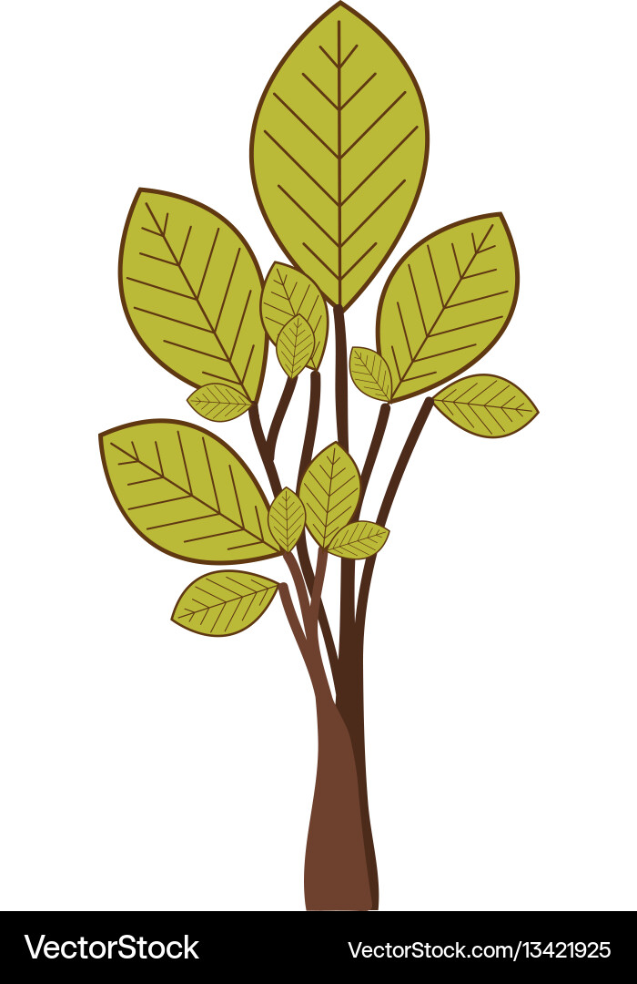 Ramifications with green leaves plant icon Vector Image