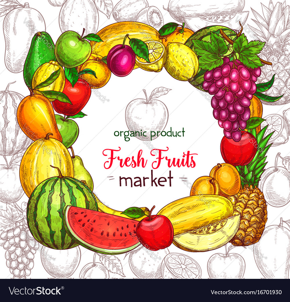 Fruit frame border for organic food market poster Vector Image