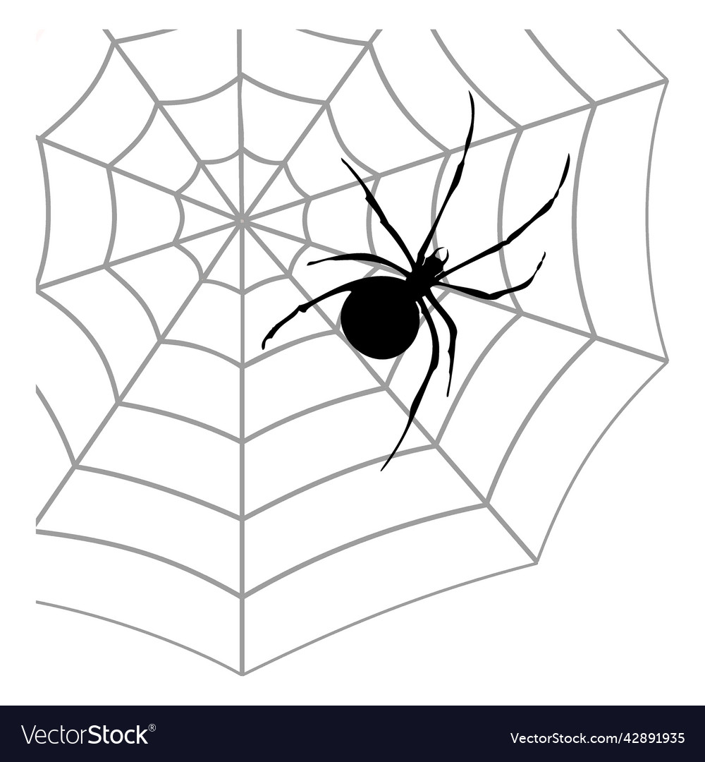 Symmetrical spider web icon, outline style Stock Vector Image