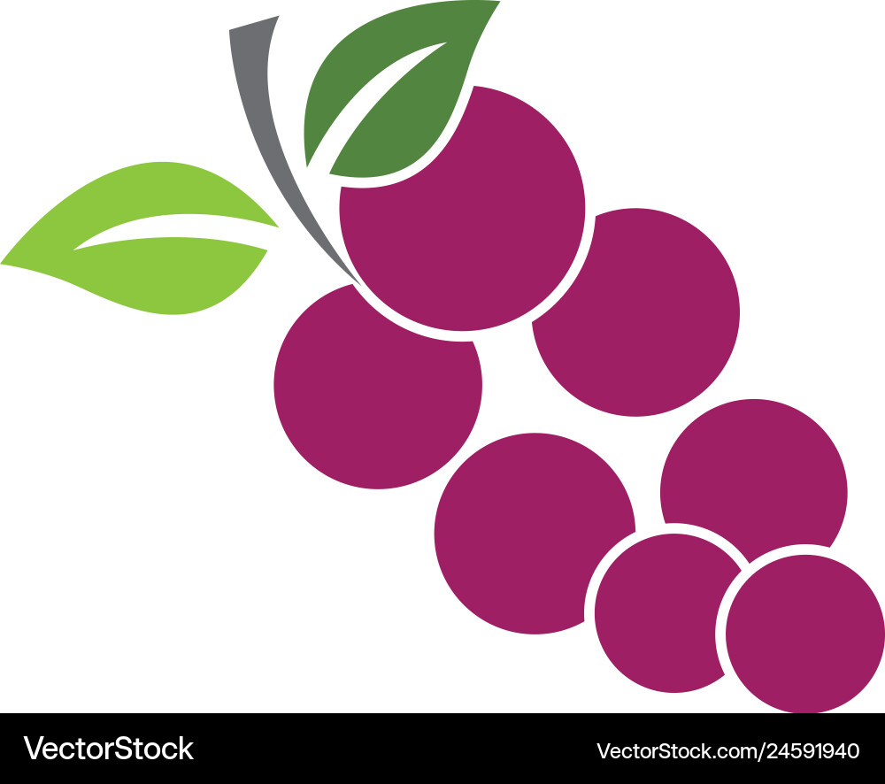 Grape icon Royalty Free Vector Image - VectorStock