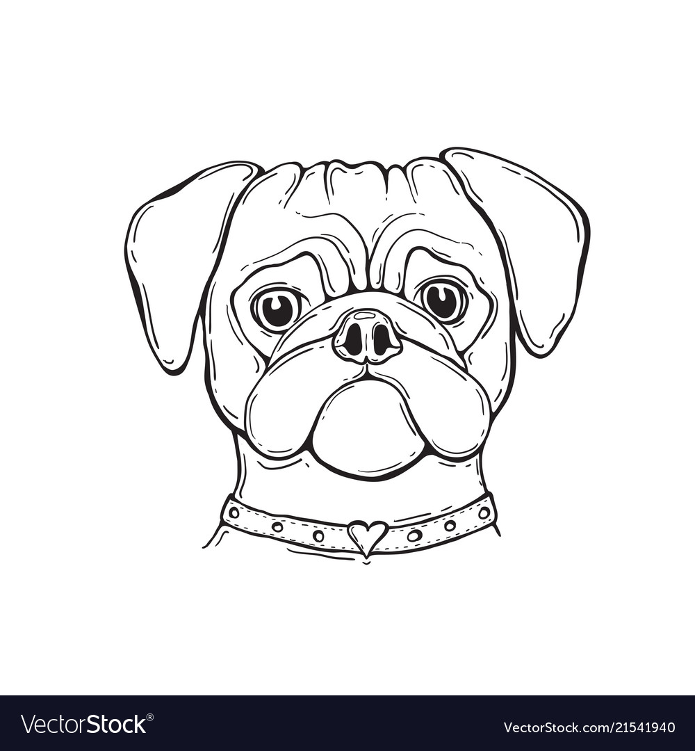 Cool Realistic Pug Line Drawing | Art Gallery