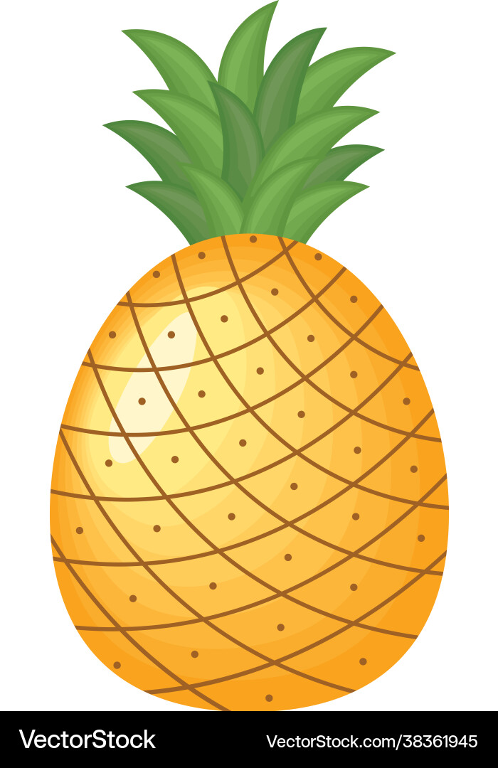 Isolated pineapple fruit Royalty Free Vector Image