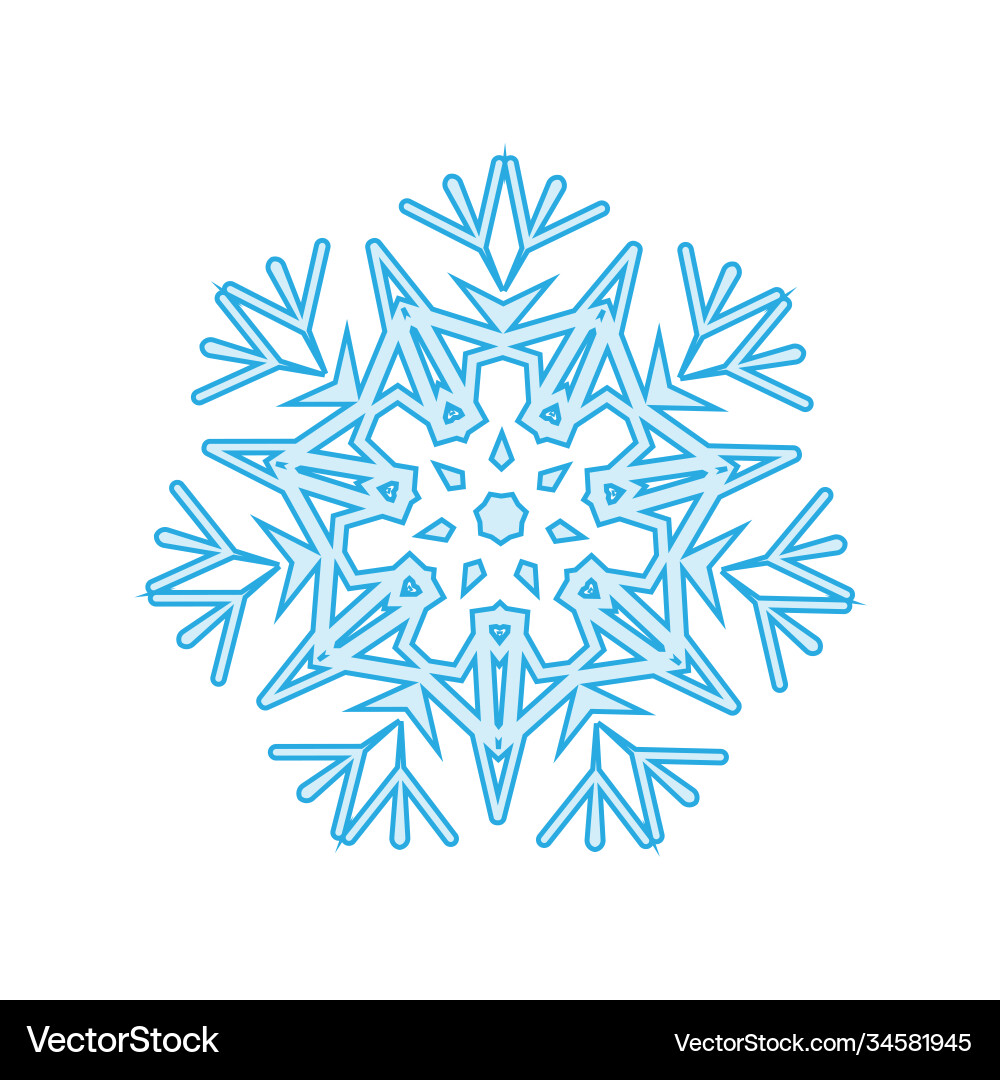 Winter snowflake isolated on white background Vector Image