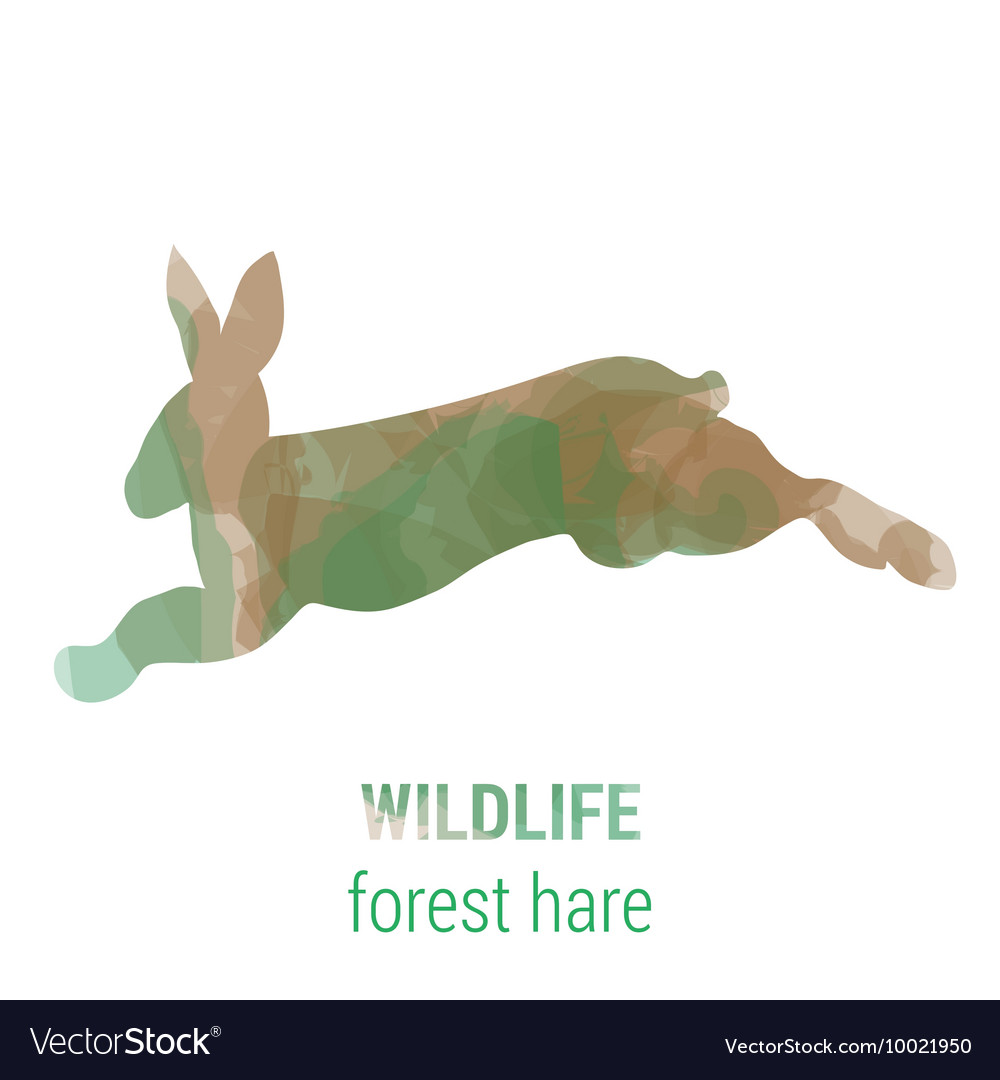 Wildlife Banner Forest Animals Hare Royalty Free Vector