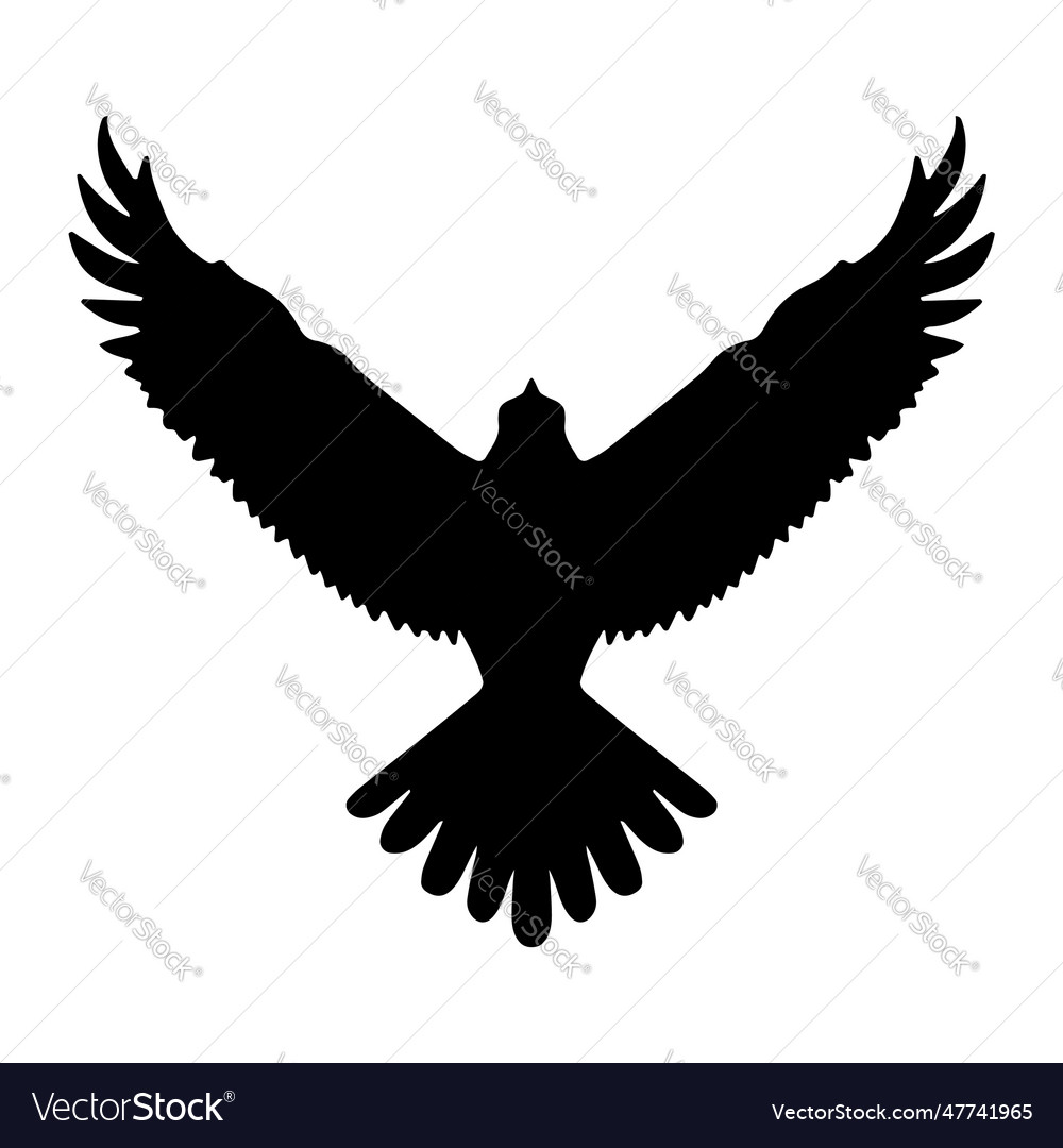 Eagle bird flying silhouette isolated Royalty Free Vector