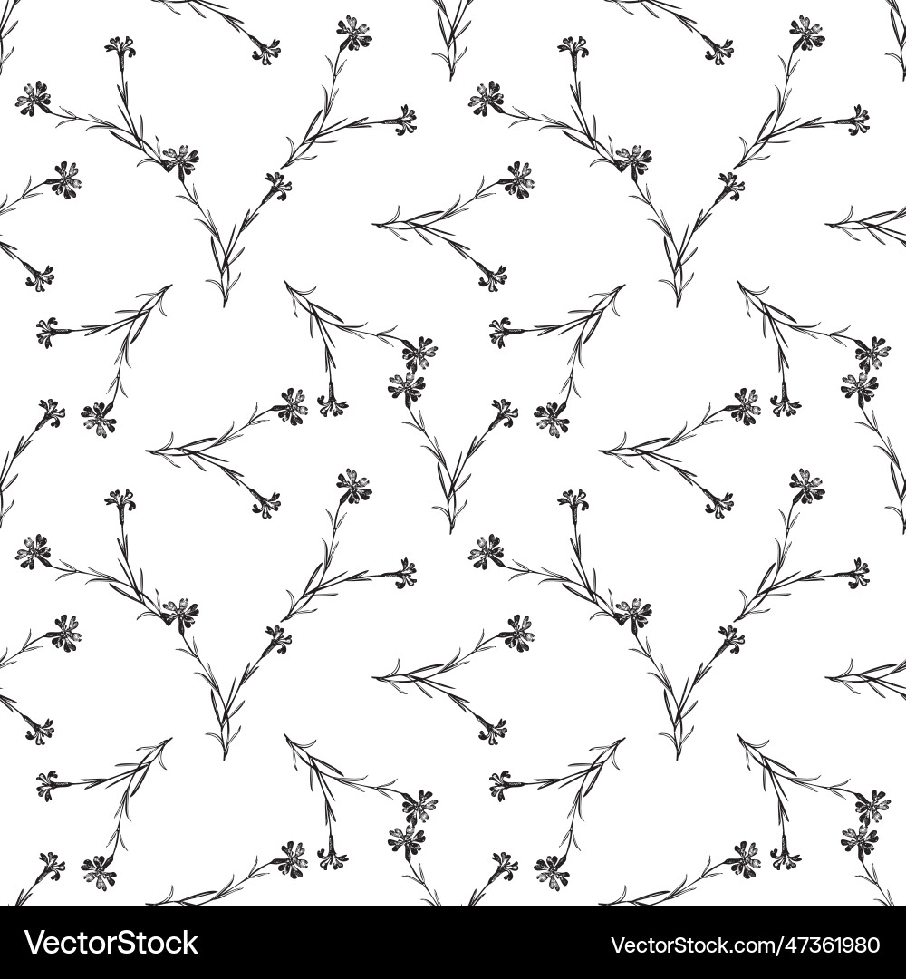 Botanical hand drawn floral seamless pattern Vector Image