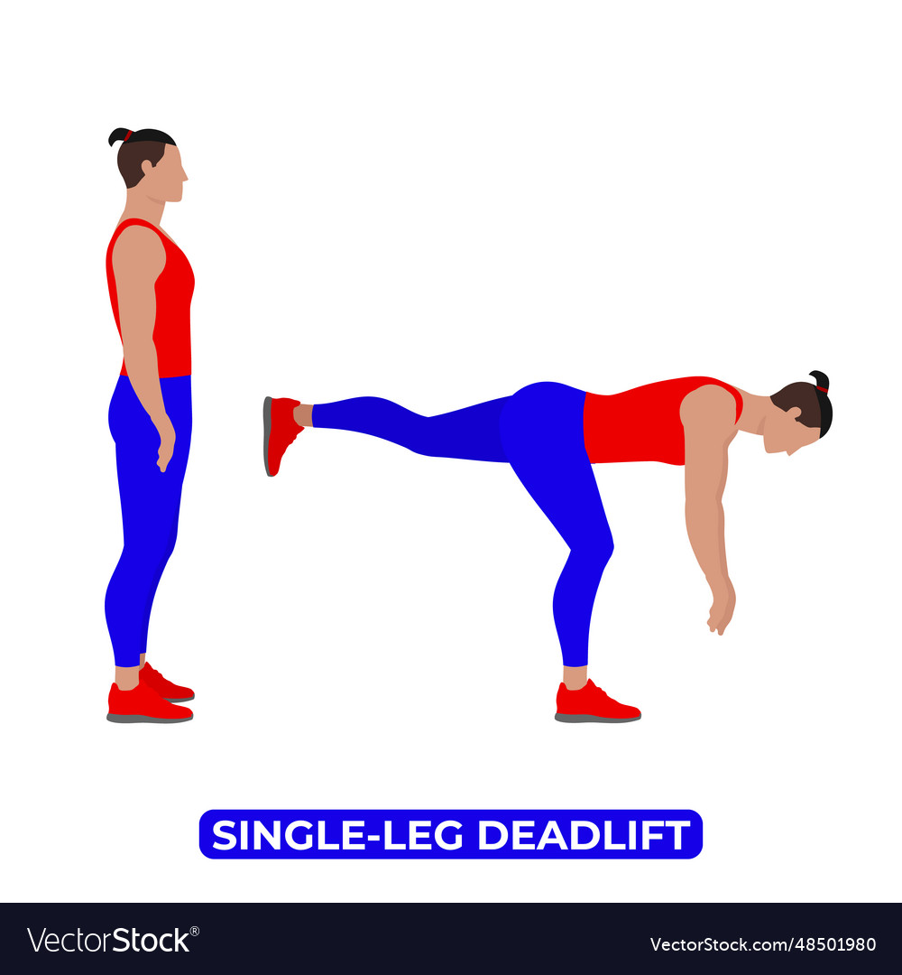 Man doing single leg deadlift exercise Royalty Free Vector