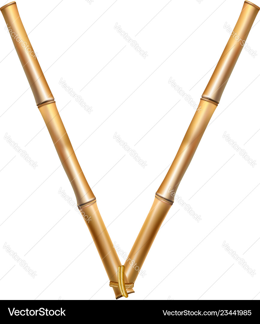 Bamboo alphabet letter v isolated on white Vector Image