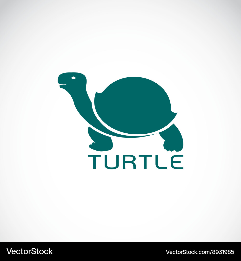 Image an turtle design Royalty Free Vector Image