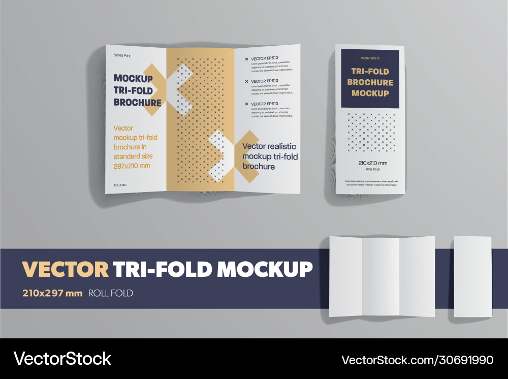 An open and closed business trifold template with Vector Image