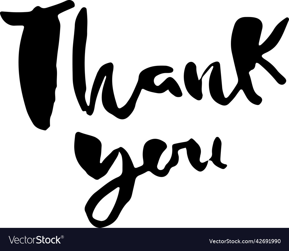 Thank you modern dry brush lettering card Vector Image