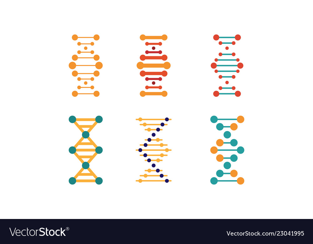 Dna strands set spiral genetic material signs Vector Image