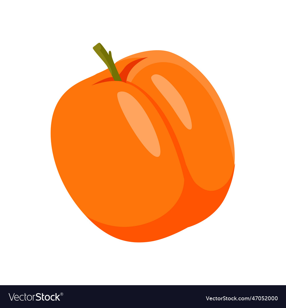 Apricot with vitamin c Royalty Free Vector Image