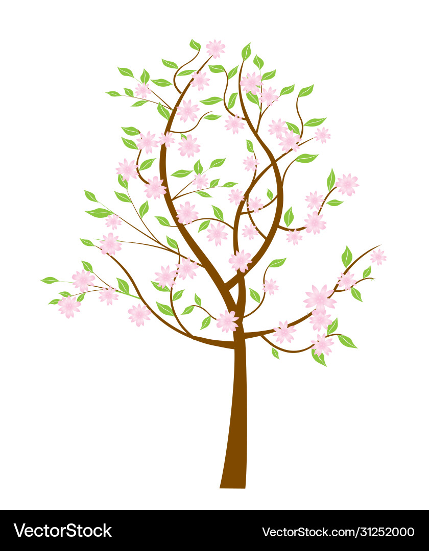 Spring flowering tree Royalty Free Vector Image