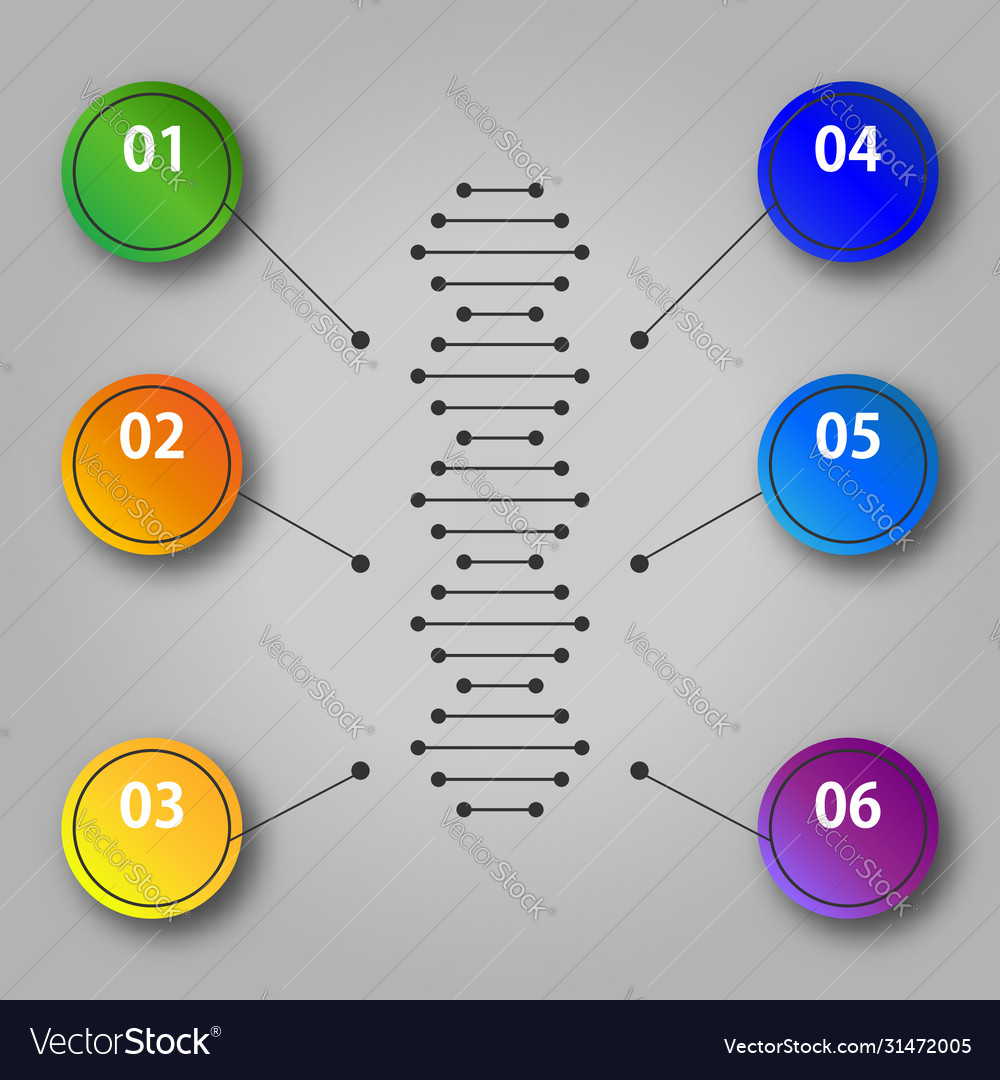 Dna information - infographic