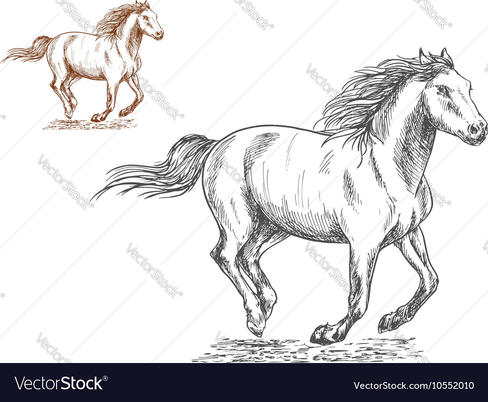 35+ Ideas For Running Horse Pencil Drawing | Inter Venus