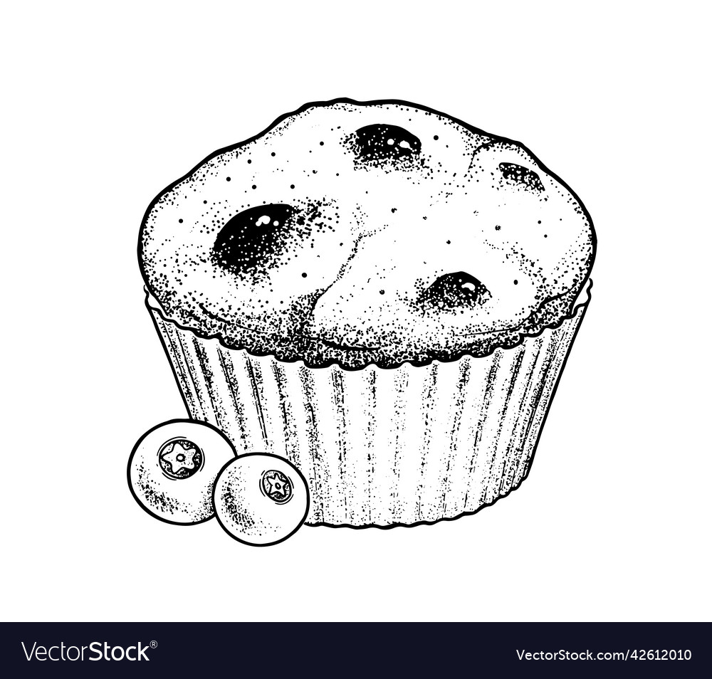 Blueberry Muffin Drawing