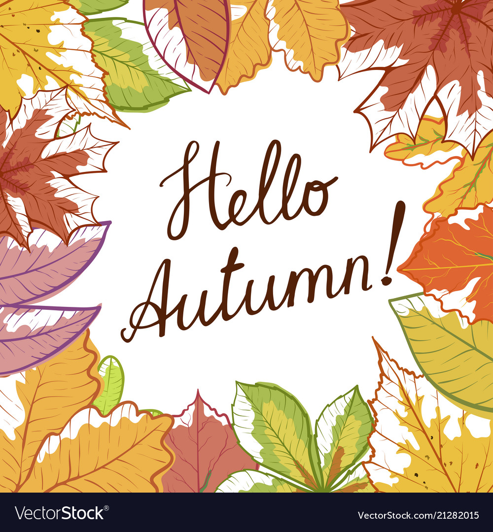 Hello autumn hand draw banner Royalty Free Vector Image