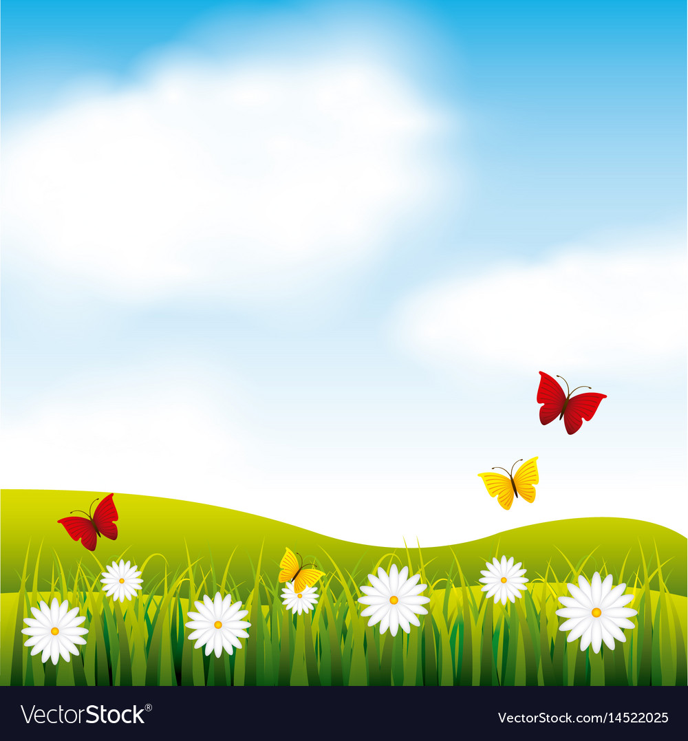 Garden flowers and butterflies Royalty Free Vector Image