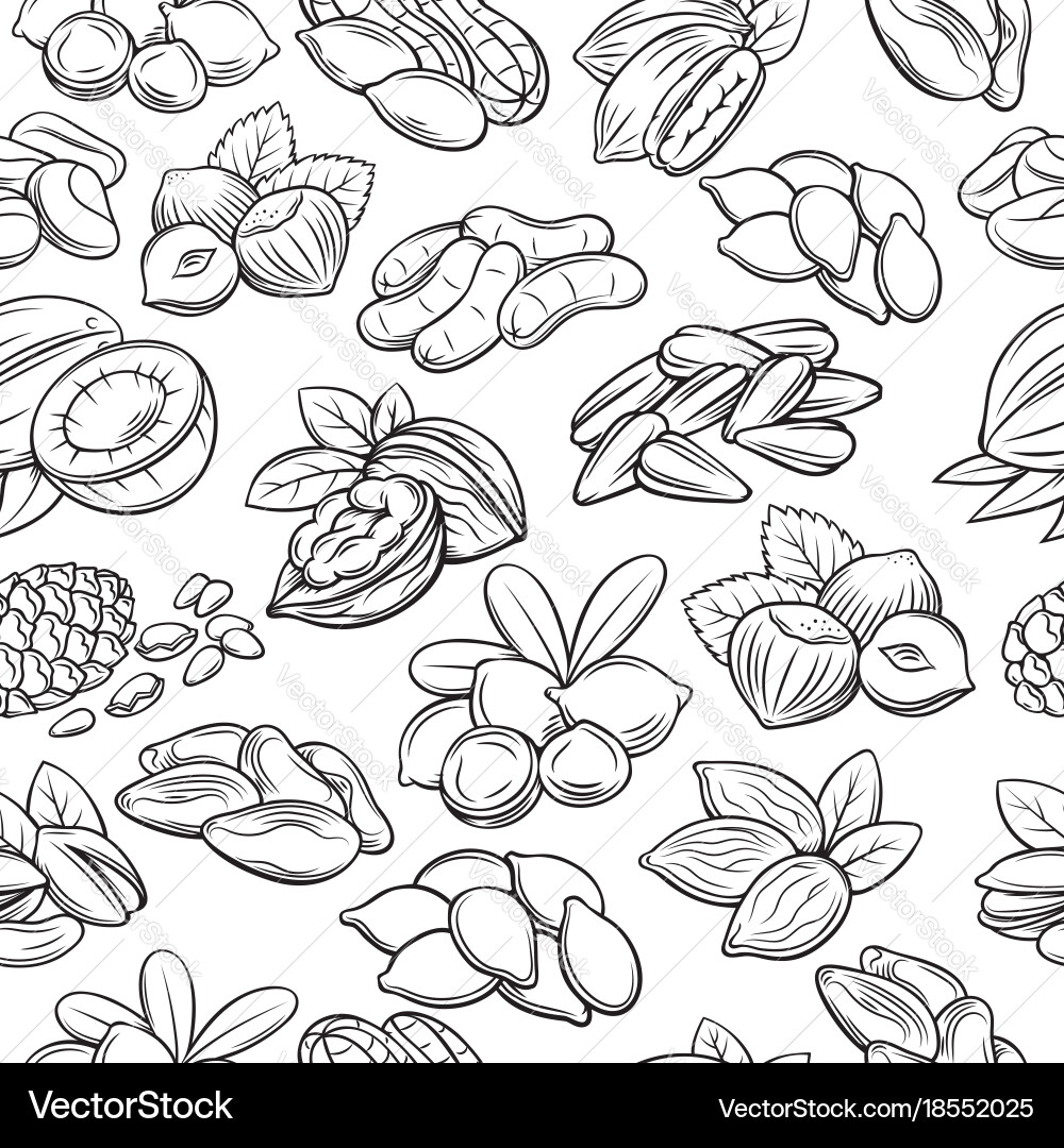 Seamless pattern with nuts and seeds Royalty Free Vector