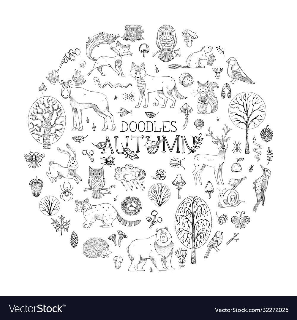 Woodland set doodles animals and plants Royalty Free Vector