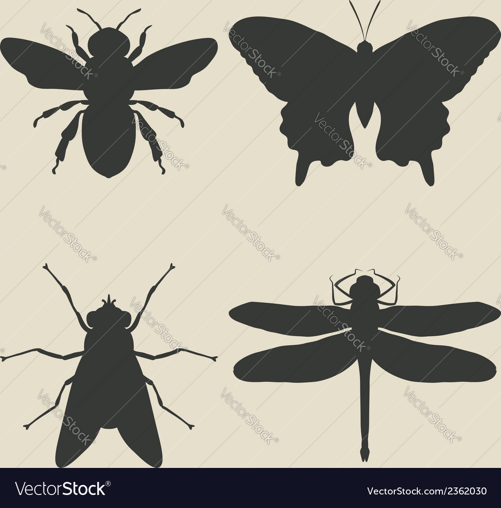 Insects icon set Royalty Free Vector Image - VectorStock